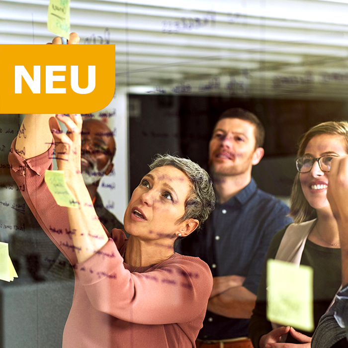 Kompaktausbildung Organisationsentwicklung