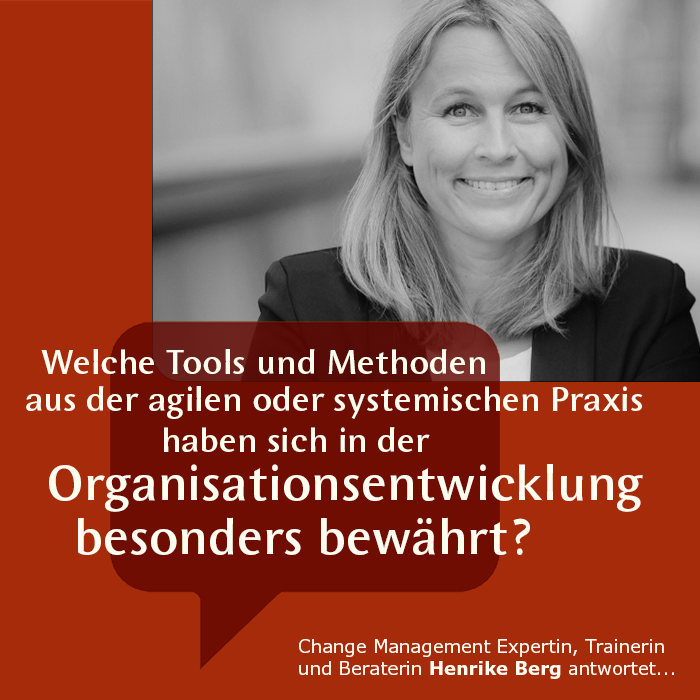 Welche Tools und Methoden aus der agilen und systemischen Praxis haben sich in der Organisationsentwicklung besonders bewährt?