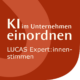 LUCAS-Expertenstimme-KI-im-Unternehmen-einordnen