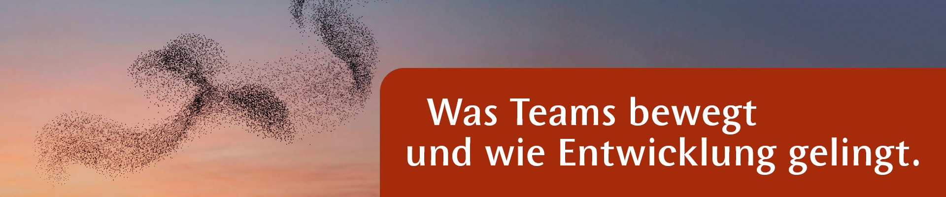Teams Entwickeln